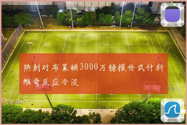 热刺对布莱顿3000万镑报价武什科维奇反应冷淡